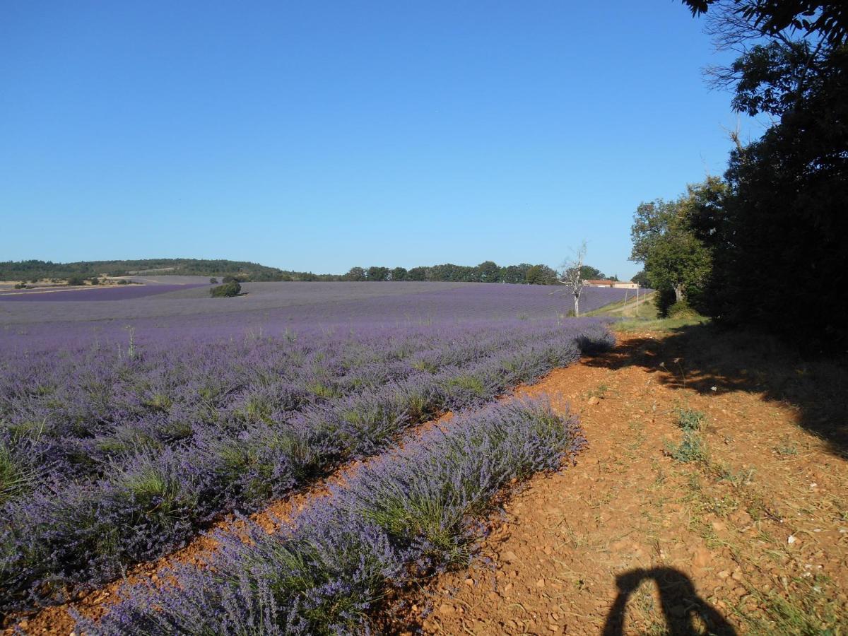 Holiday home Le Cabanon D'amandine Et Gabriel *